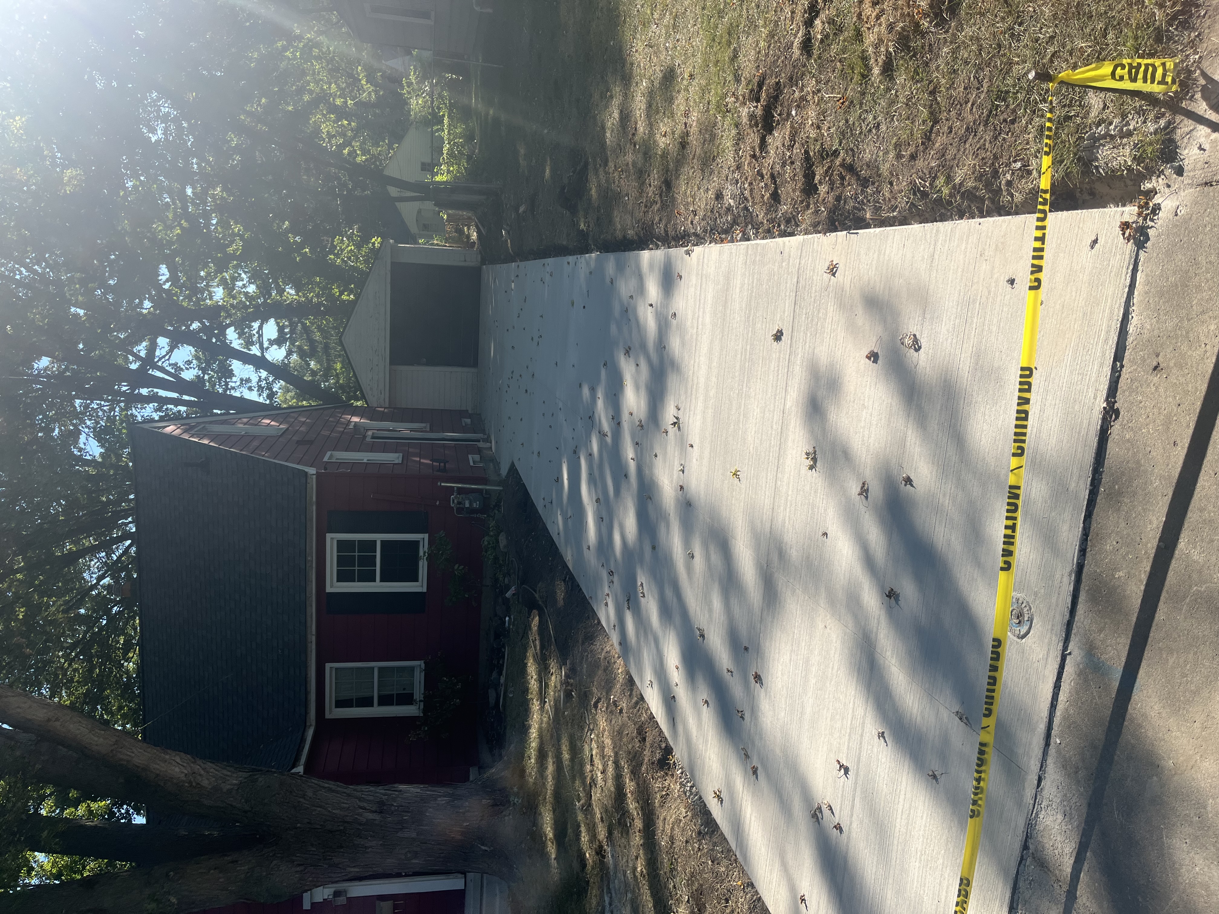 New concrete driveway leading to residential home